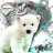 Shirokuma34