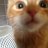Pir4nhaX