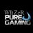 WiTzErGaming