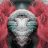 //Freez.DiMzY-NaGuY