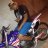 yansloo