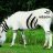 Samy33440