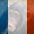 The French Monkey