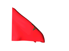 Drapeau-Maroc_240-gif.gif