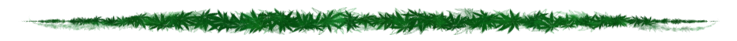 27536010.png
