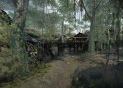 jungle.png