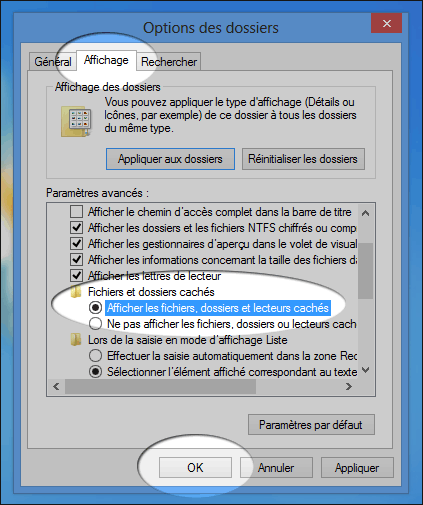 fichiers-dossiers-caches-windows-8-2.png