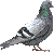 i110.gif