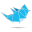 twitter-icon.png