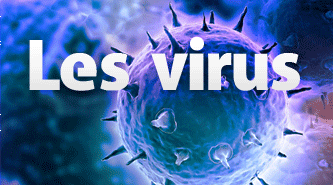 lesvirus.png