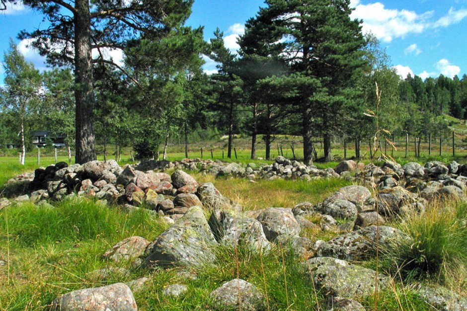 cannabis-farm-viking-age-norway.jpg