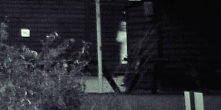 1160915-inline.jpg