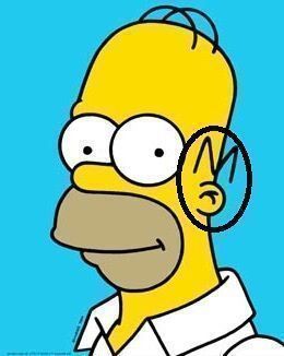 homer-simpson-cp-3723197.jpg