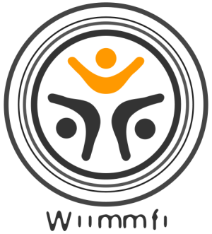 wiimmfi-300_QTO4LyR.png