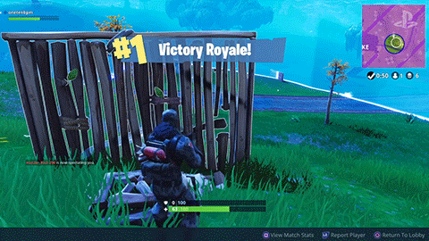 giphy.gif