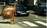 tumblr_mdpckh7J1u1rq2vgyo1_250.gif