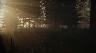 the-forest-pc-1390559590-009_m.jpg