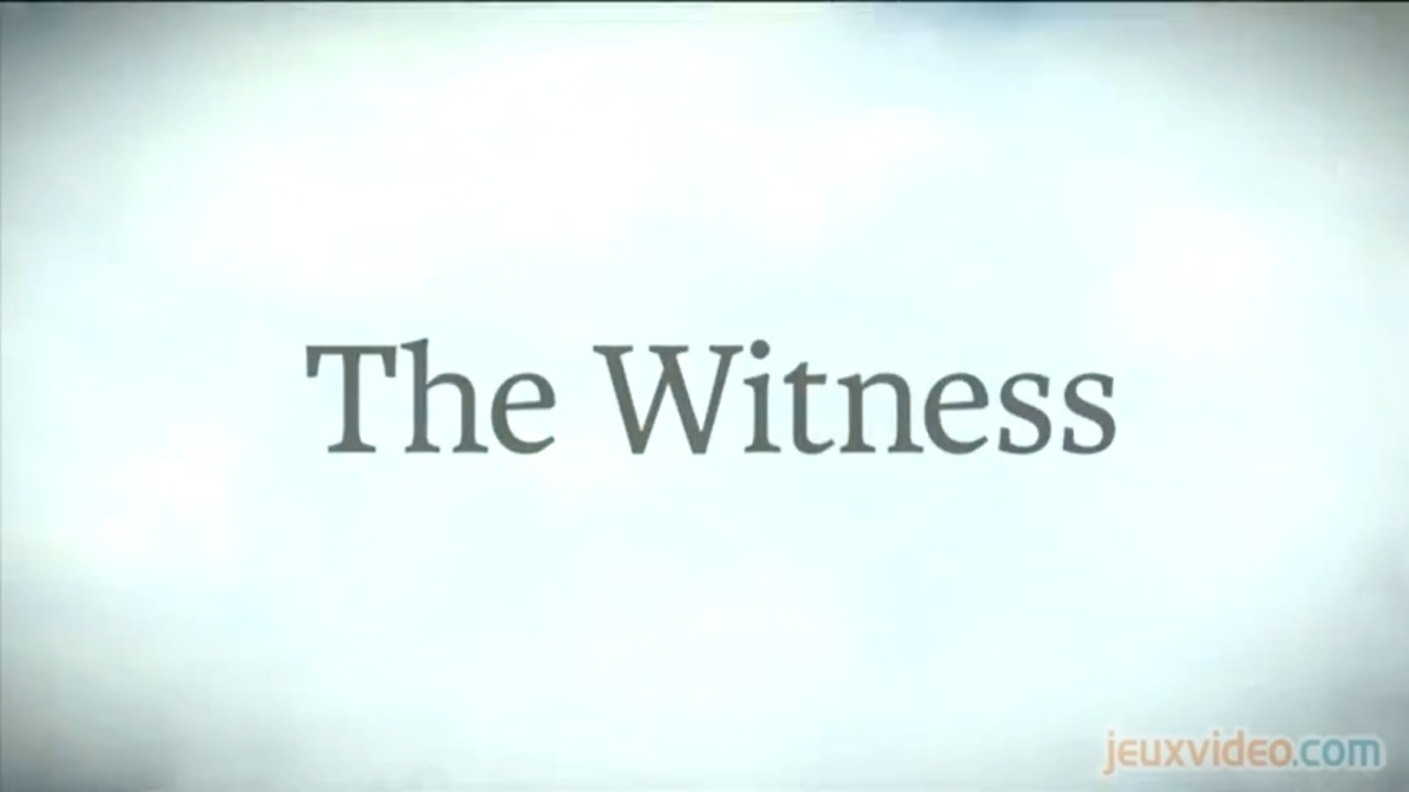 the-witness-playstation-4-ps4-1361405896-001.jpg
