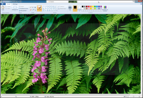 cacher_zip_image_04.png