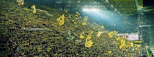 fans_072017.jpg