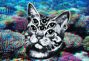 200_s.gif