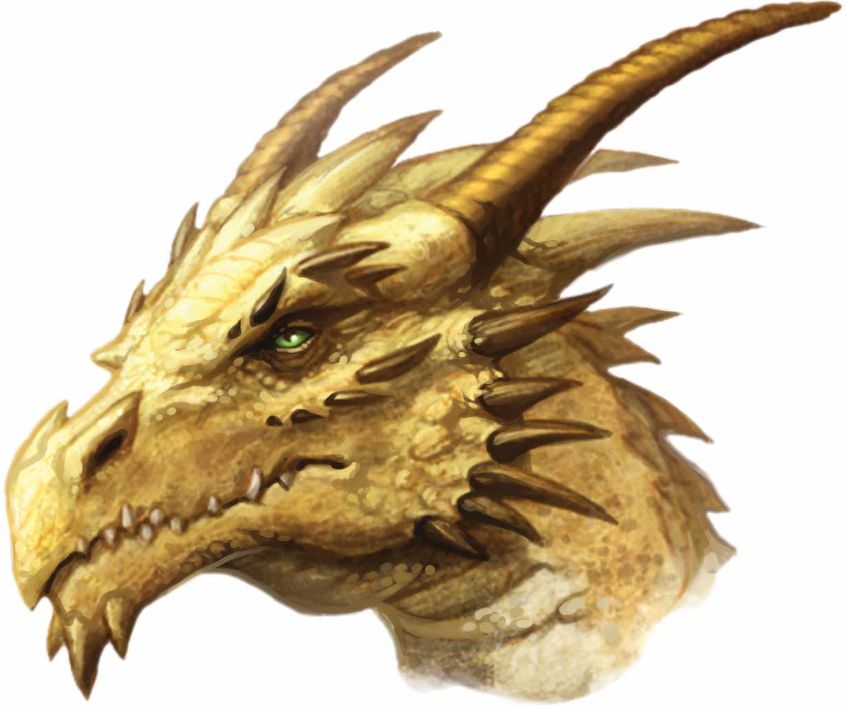 Dragon4.jpg