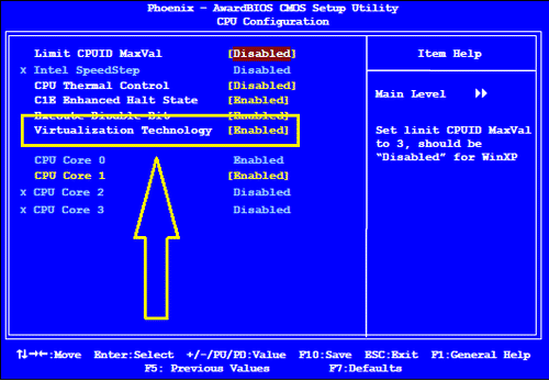 BIOS-Virtualization.png