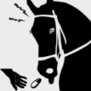 emblem_128.png