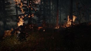 the-forest-pc-1390559590-015_m.jpg