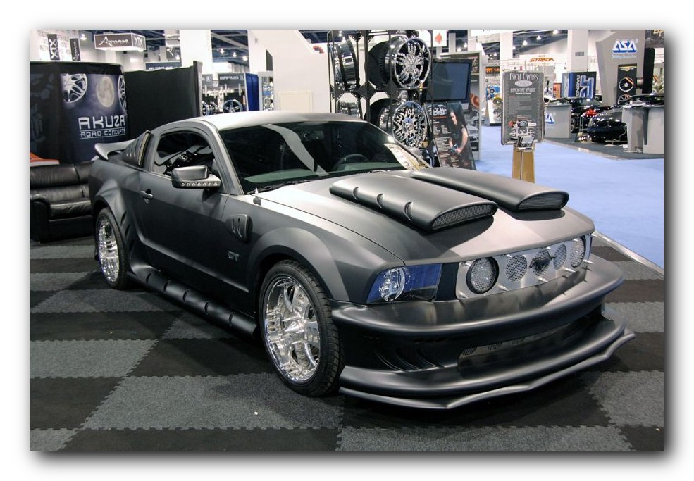 mustang-tuning-2dow.jpg