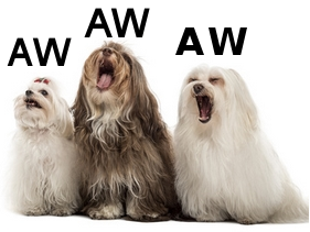 1483099206-aw-dog.png