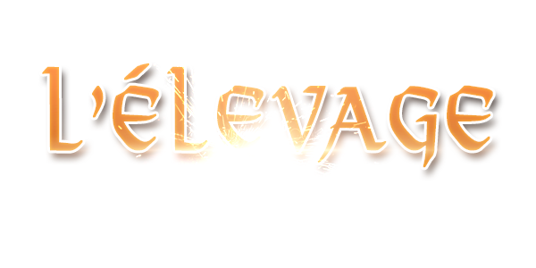 3127937386_1_32_1m3yLb0w.png