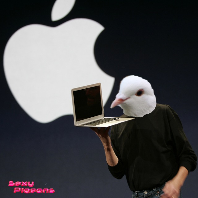 macpig-2.jpg