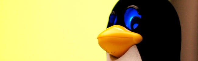486233353_4e849aa94c_o.jpg