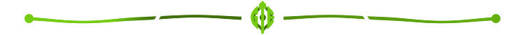 SEPARATEUR-GTE-VERT.png