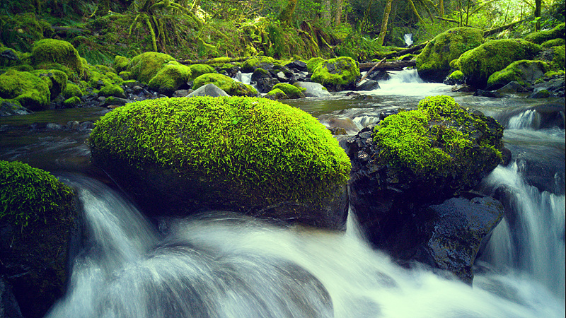 20150404_150543.jpg