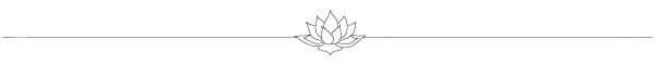 separator04.png