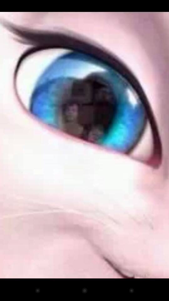 3208659503_1_2_qZkJUuI1.jpg