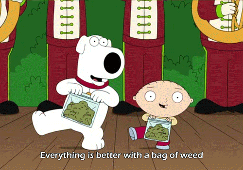 tumblr_mpfwsbWO881s8qxalo5_500.gif