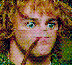 nonoze08.gif