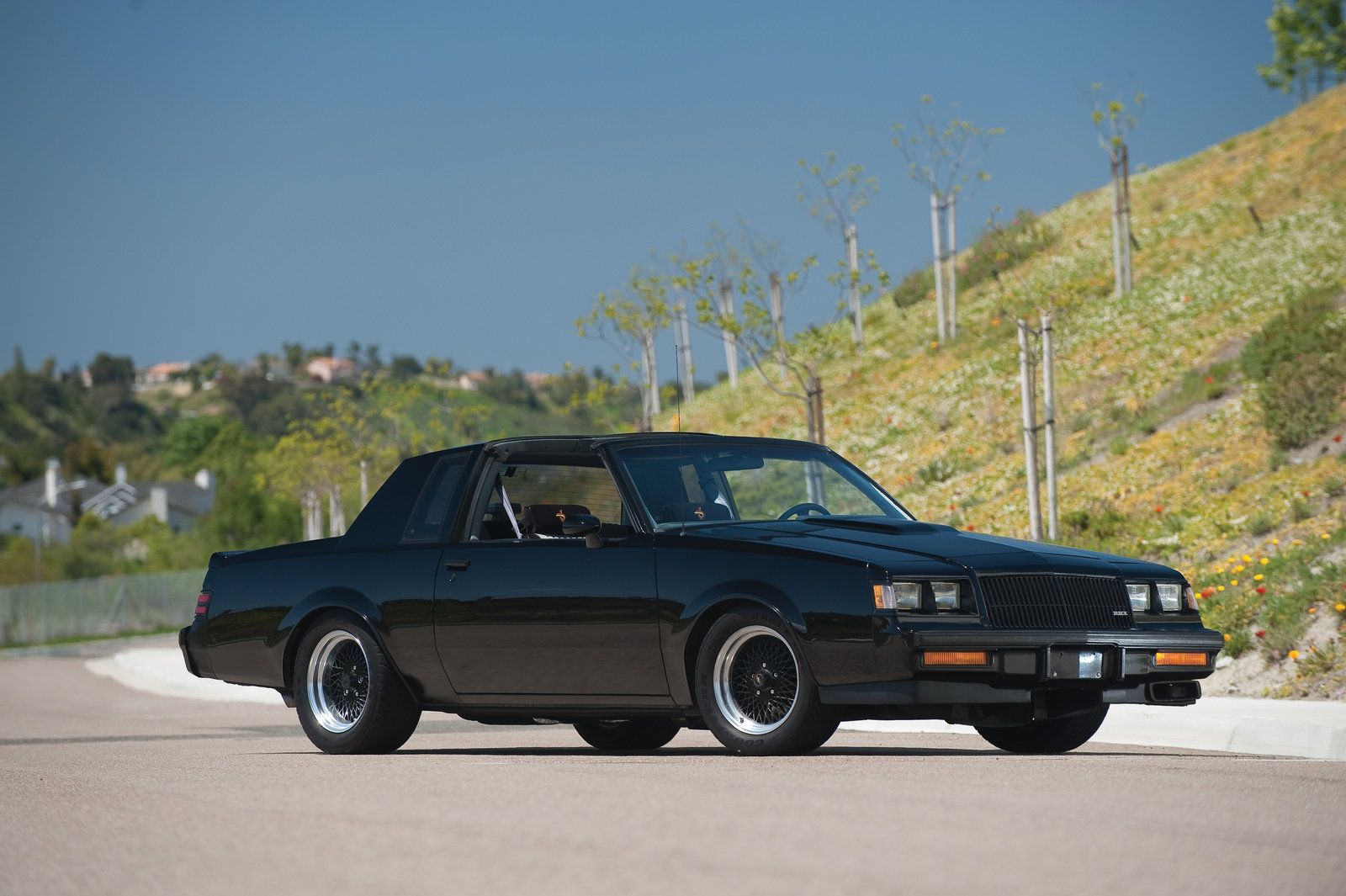 1987-buick-grand-national-5_1600x0w.jpg