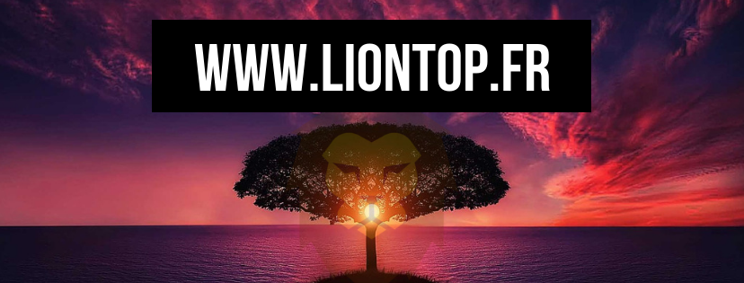 LionTop-Bannière-pub.png